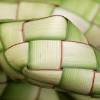 Ketupat image