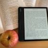 Dia del Libro image