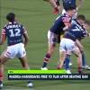 Roosters vs Panthers image