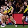 Fremantle Dockers image