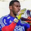 Goleiro Aranha image