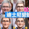 Voila image