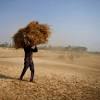 India image