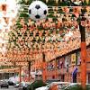 Netherlands football image
