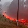Fieldays image