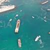 Sea snot image