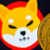 Shiba Inu coin image