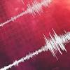 Terremoto en Alaska image