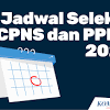 Pengumuman CPNS 2021 image