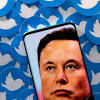 Elon Musk image