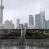 Shanghai. TYPHOON image