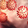 CDC image