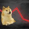 Dogecoin image