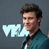 Shawn Mendes image
