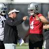 Raiders image