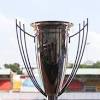 Indonesia vs Australia image