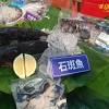 農遊券 image