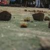 Bentrok ormas di karawang image