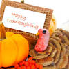 What's Open on Thanksgiving image