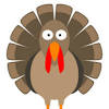 Turkey Trot image