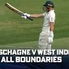 Cricket image