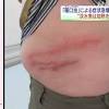 シラウオ image