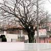 さくら保育園 image
