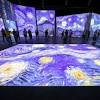 Van Gogh Alive image