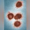 Zombie virus image