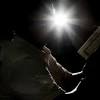 Surat Al Fath image