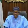 President of Nigeria image
