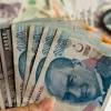 dolar/TL image