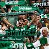 Sporting-Rio Ave image