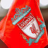 Liverpool FC image