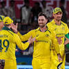 India vs Australia image