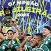 Brasileirao image