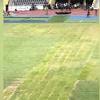 Bukit Jalil image