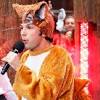 Ylvis image